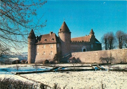 CPSM Château De Virieu     L1619 - Virieu