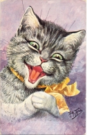 Katze, Katzenportrait, Sign. Arthur Thiele, 1910 - Thiele, Arthur