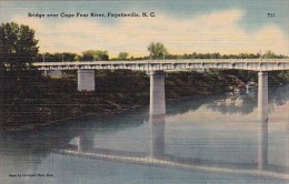Bridge Over Cape Fear River Fayetteville North Carolina - Fayetteville