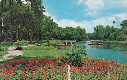 View Of Wolrd Famouri Glass Botton Boats On Beautiful River At Silver Springs Florida 1975 - Silver Springs