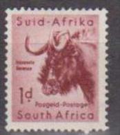 South Africa, 1954, SG 152, Mint Hinged (Wmk 9) - Nuovi