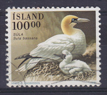 Iceland 1991 Mi. 739    100.00 Kr Bird Vogel Oiseau Basstölpel - Used Stamps