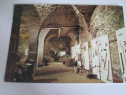 Delcampe - VL - ARBOIS (39) : CAVES DE L'HOTEL DE VILLE ; MUSÉE DE LA VIGNE ET DU VIN - Arbois