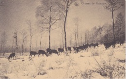 Chasses De Nassogne.  -  Verzonden 1928 - Nassogne