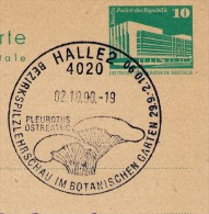 PILZ AUSTERN-SEITLING Halle 2.10.1990 LETZTTAG Auf DDR P84 Postkarte - Postkaarten - Gebruikt