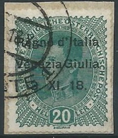 1918 VENEZIA GIULIA USATO 20 H - ED224-2 - Venezia Giulia