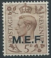 1943-47 OCCUPAZIONE INGLESE USATO MEF 5 P - ED233 - Britse Bezetting MEF