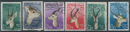 1955 SOMALIA AFIS USATO POSTA AEREA ANIMALI - ED234 - Somalië (AFIS)