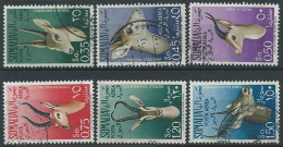 1955 SOMALIA AFIS USATO POSTA AEREA ANIMALI - ED234-2 - Somalie (AFIS)