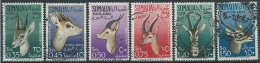 1955 SOMALIA AFIS USATO POSTA AEREA ANIMALI - ED235 - Somalië (AFIS)