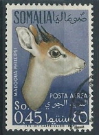 1955 SOMALIA AFIS USATO POSTA AEREA ANIMALI 45 CENT - ED236 - Somalië (AFIS)