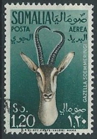 1955 SOMALIA AFIS USATO POSTA AEREA ANIMALI 1,20 - ED236 - Somalie (AFIS)