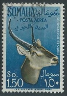 1955 SOMALIA AFIS USATO POSTA AEREA ANIMALI 1,50 - ED236 - Somalië (AFIS)