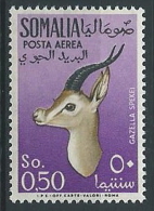 1955 SOMALIA AFIS POSTA AEREA ANIMALI 50 CENT MH * - ED242 - Somalia (AFIS)