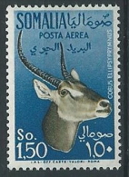 1955 SOMALIA AFIS POSTA AEREA ANIMALI 1,50 MNH ** - ED242 - Somalia (AFIS)