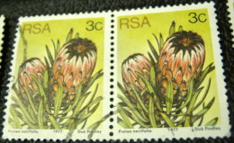 South Africa 1977 Succulents Protea Neriifolia 3c X2 - Used - Oblitérés