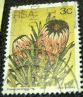 South Africa 1977 Succulents Protea Neriifolia 3c - Used - Usati