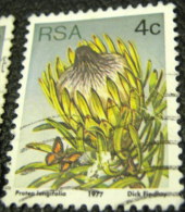 South Africa 1977 Succulents Protea Longifolia 4c - Used - Gebraucht