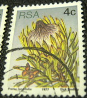 South Africa 1977 Succulents Protea Longifolia 4c - Used - Gebraucht