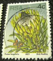 South Africa 1977 Succulents Protea Longifolia 4c - Used - Usati