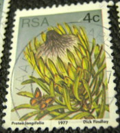 South Africa 1977 Succulents Protea Longifolia 4c - Used - Gebraucht