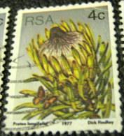 South Africa 1977 Succulents Protea Longifolia 4c - Used - Gebraucht