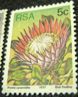 South Africa 1977 Succulents Protea Cynaroides 5c - Used - Usati