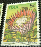 South Africa 1977 Succulents Protea Cynaroides 5c - Used - Oblitérés