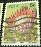 South Africa 1977 Succulents Protea Cynaroides 5c - Used - Gebraucht