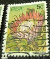 South Africa 1977 Succulents Protea Cynaroides 5c - Used - Oblitérés