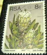 South Africa 1977 Succulents Protea Mundii 8c - Used - Gebraucht