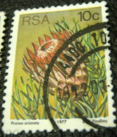 South Africa 1977 Succulents Protea Aristata 10c - Used - Oblitérés