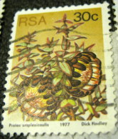 South Africa 1977 Succulents Protea Amplexicaulis 30c - Used - Usati