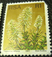 South Africa 1977 Succulents Paranomus Reflexus 1r - Used - Gebraucht
