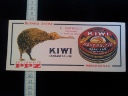Buvard Pub Cirage Kiwi - Scarpe