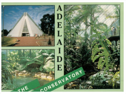 (901) Australia - SA - Adelaide Conservatory - Adelaide