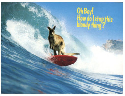 (901) Australia - Kangaroo On Surf Board - Outback