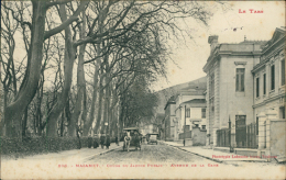 81 MAZAMET / Cours Du Jardin Public, Avenue De La Gare / - Mazamet