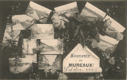 Souvenir Des MUREAUX - Les Mureaux