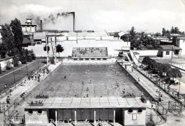 BUSTO ARSIZIO 1954 - PISCINA COMUNALE,INTERNO - BROMOFOTO - C396 - Busto Arsizio