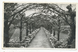 Pergolas, Botanical Gardens, Rhyl, 1947 Postcard - Flintshire