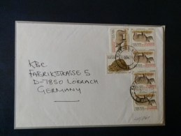 41/861   LETTRE   AFRIQUE DU SUD - Rhinozerosse