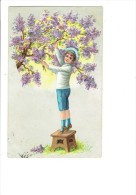 Carte Gaufrée -  GARCON SUR TABOURET CUEILLE BRANCHES ARBRE LILAS - 1906 -  N°5265 - Verzamelingen & Reeksen