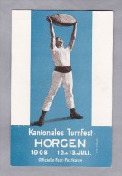 ZH HORGEN  Kantonales Turnfest 12-13.7.1908 Ungebraucht - Horgen