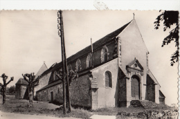 BF10735 Saint Sauveur En Puisaye L Eglise  France Front/back Image - Saint Sauveur En Puisaye