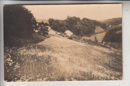 5628 HEILIGENHAUS, Blick Vom Weinberg Ins Paradies, 193... - Mettmann