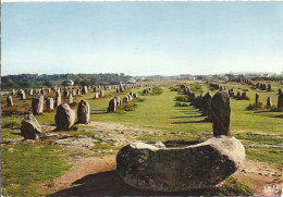 CARNAC     ALIGNEMENTS DU MENEC - Dolmen & Menhire