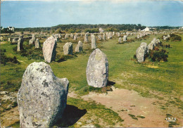 CARNAC     ALIGNEMENTS DE KERMARIO    ANNEE 1967 - Dolmen & Menhire