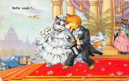 ¤¤  -  Chats Humanisés  -  Illustrateur  -  Mariage  -  ¤¤ - Chats