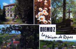 Delcampe - 38  DIEMOZ La Maison De Repos, Marguerites, Croix - Diémoz